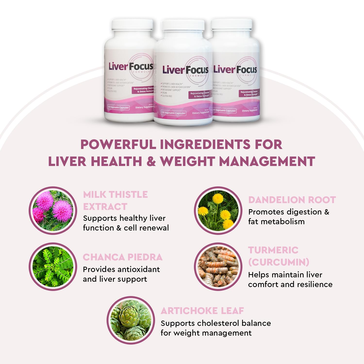 Health Focus brote de cardo mariano, ingrediente tradicional protector