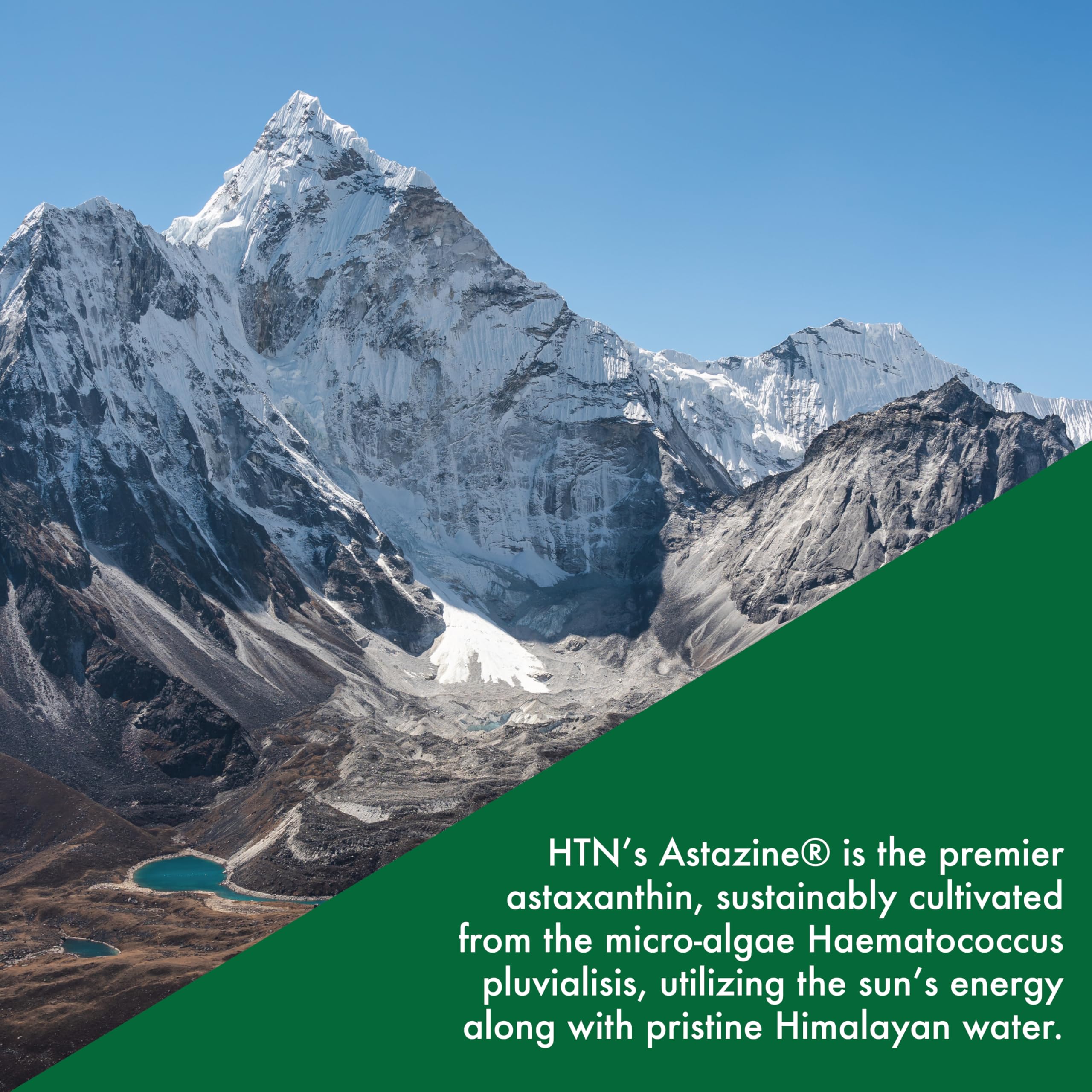 Health Thru Nutrition cultivo de algas en agua del Himalaya destacando sostenibilidad