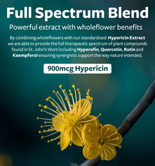 Healths Harmony mezcla de hierba entera de St. John's Wort que indica espectro completo