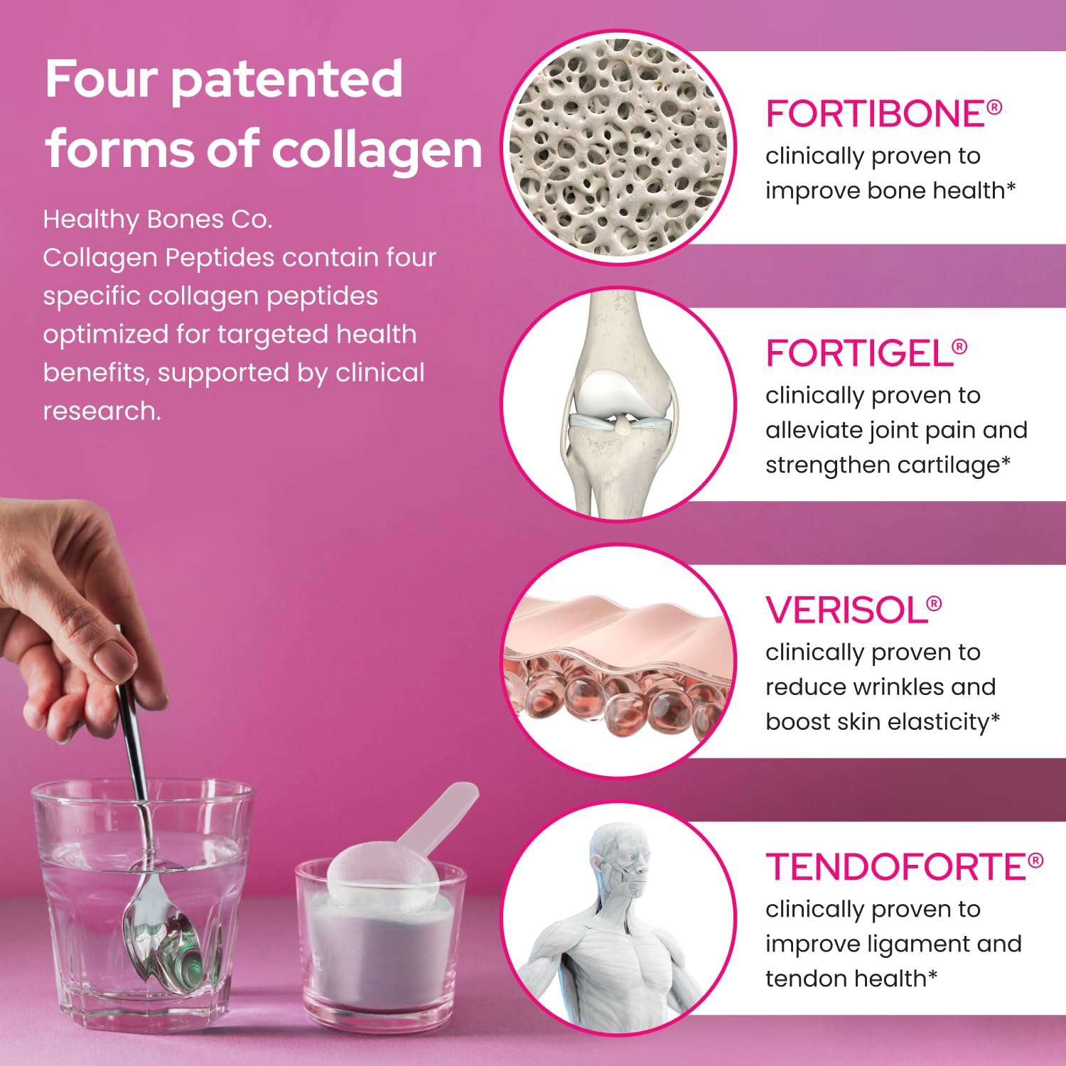 Healthy Bones Co. etiqueta con FORTIBONE FORTIGEL VERISOL TENDOFORTE informativa