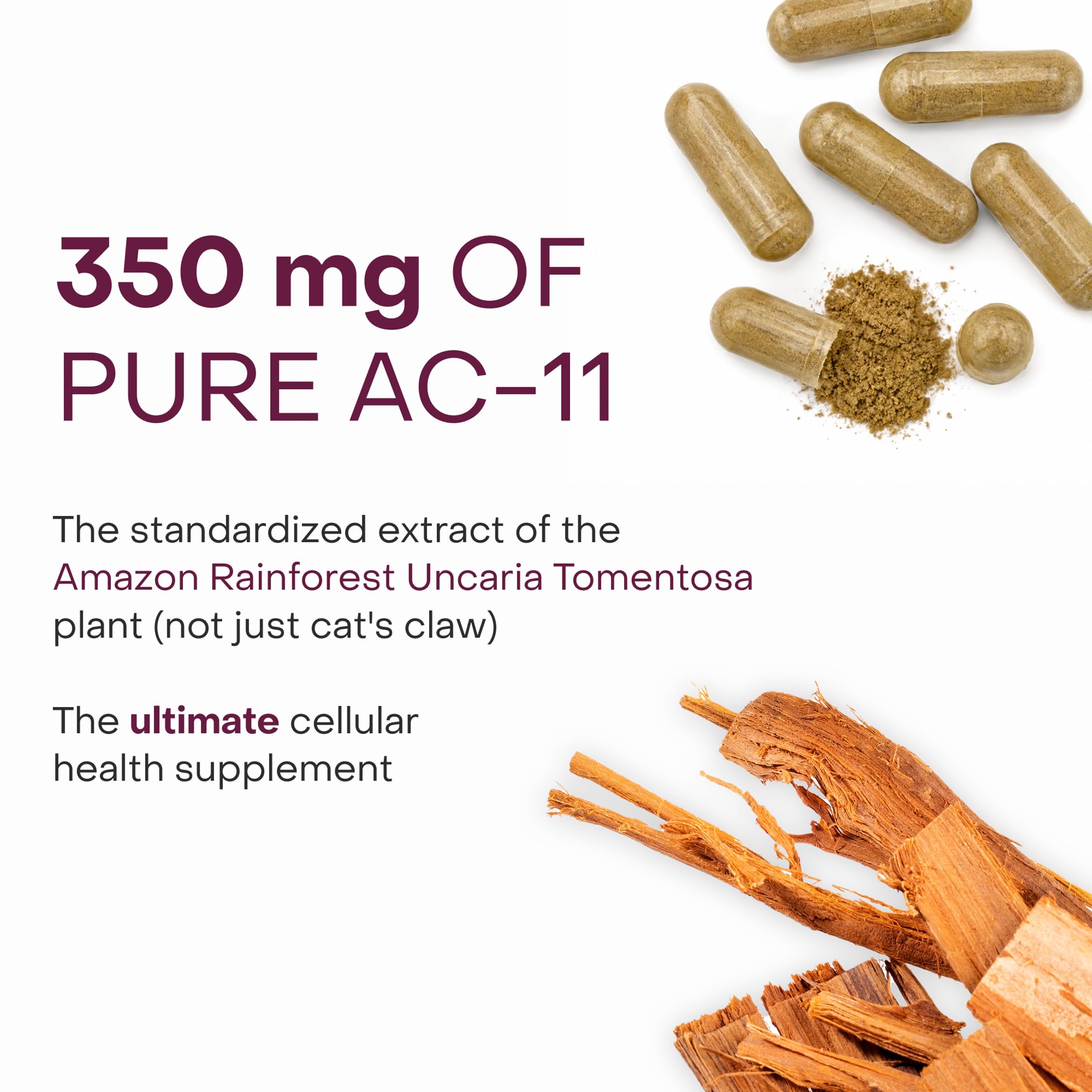 Healthycell textura y polvo del extracto destacando pureza del ingrediente