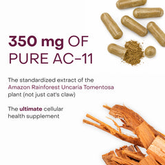 Healthycell textura y polvo del extracto destacando pureza del ingrediente