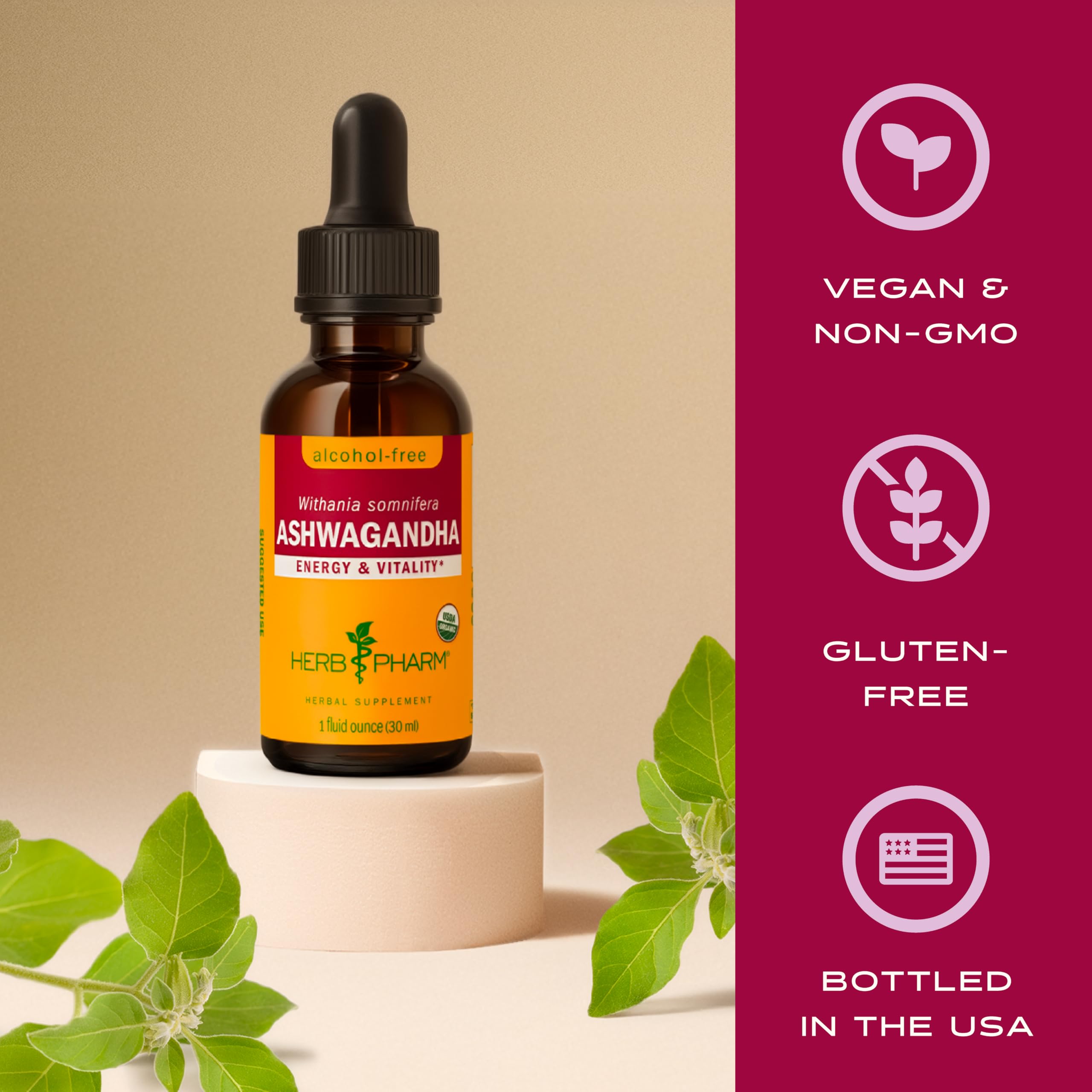 Herb Pharm raíz de ashwagandha cosechada mostrando origen natural