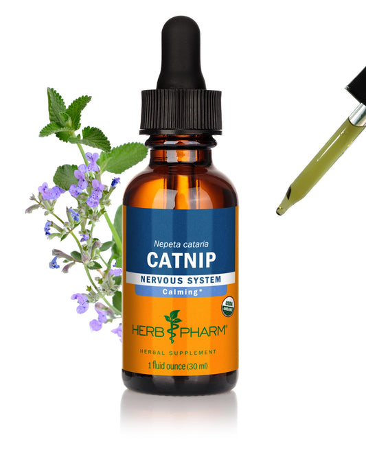 Herb Pharm frasco de Catnip frontal mostrando presentación y tamaño