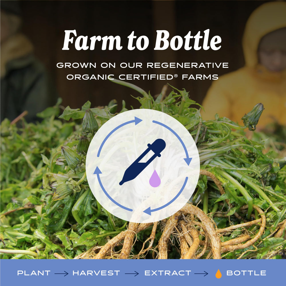Herb Pharm botella en mano para comparar tamaño y porciones