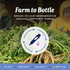 Herb Pharm botella en mano para comparar tamaño y porciones