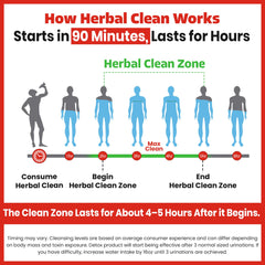 Herbal Clean Qcarbo32 en escenario laboral ilustrando uso práctico en rutina activa
