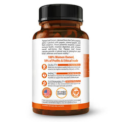 Herbal Goodness cápsulas apiladas para visual de dosificación práctica