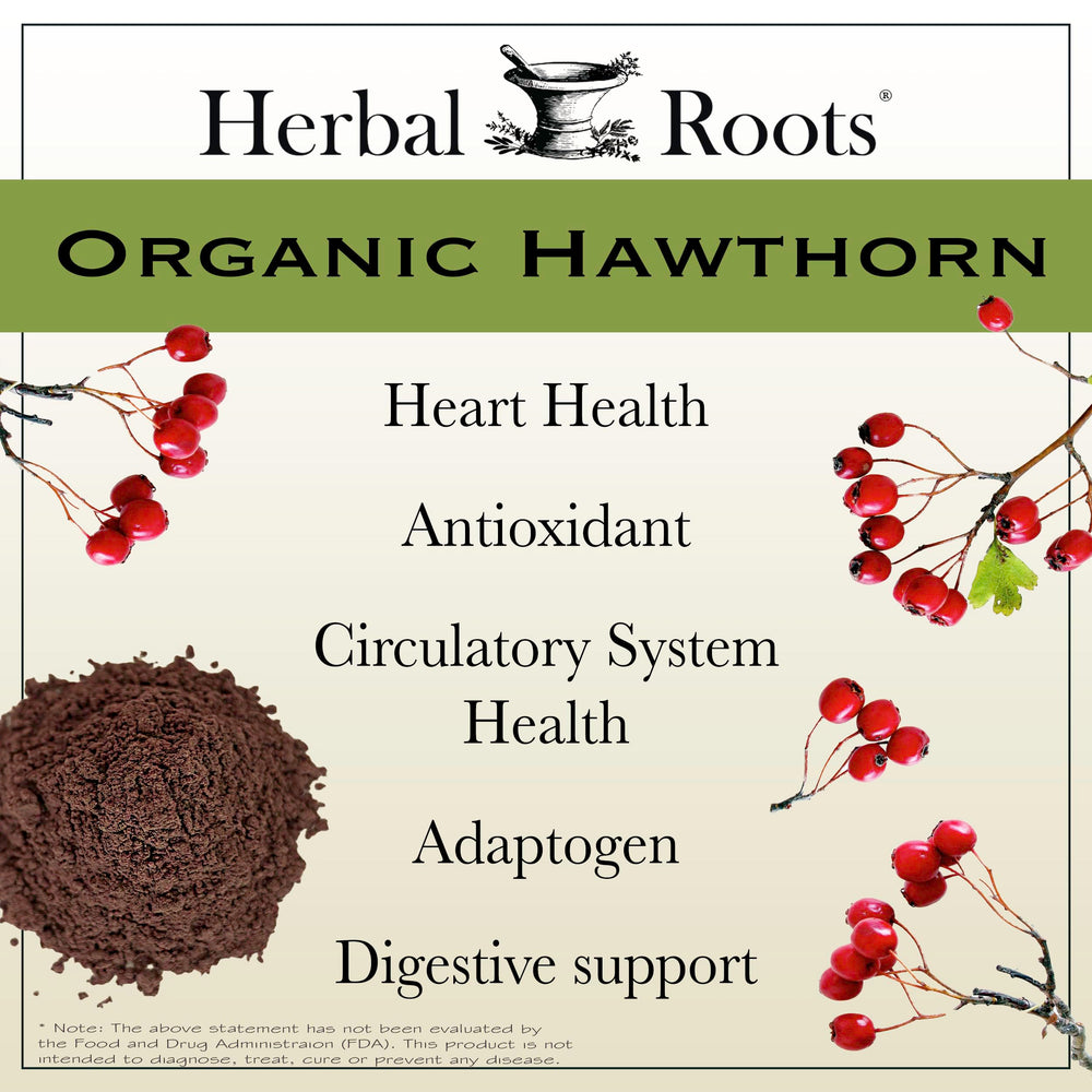 Herbal Roots cápsula en mano para comparar tamaño y facilidad de uso
