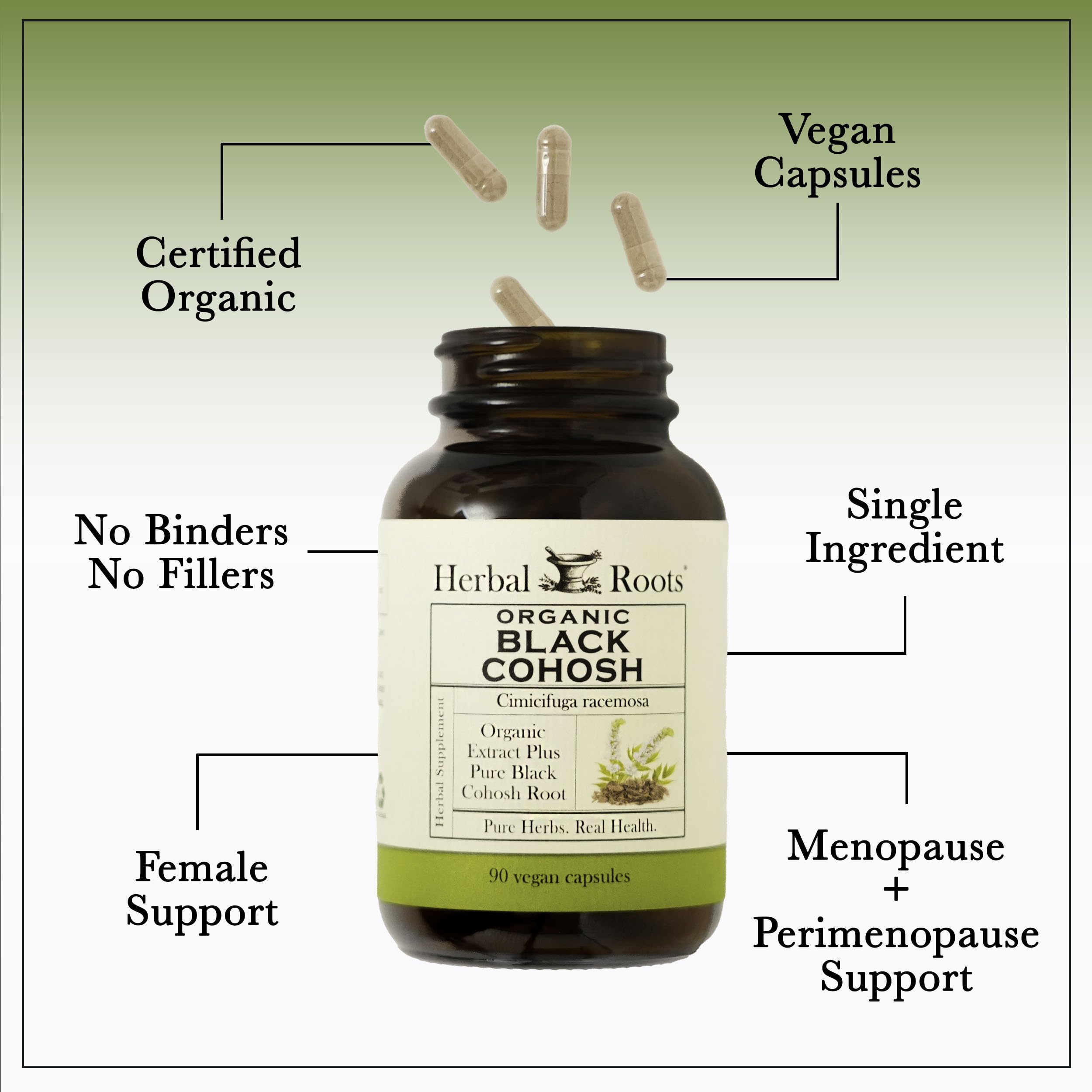 Cápsula Herbal Roots en mano para comparar tamaño y facilitar la dosificación