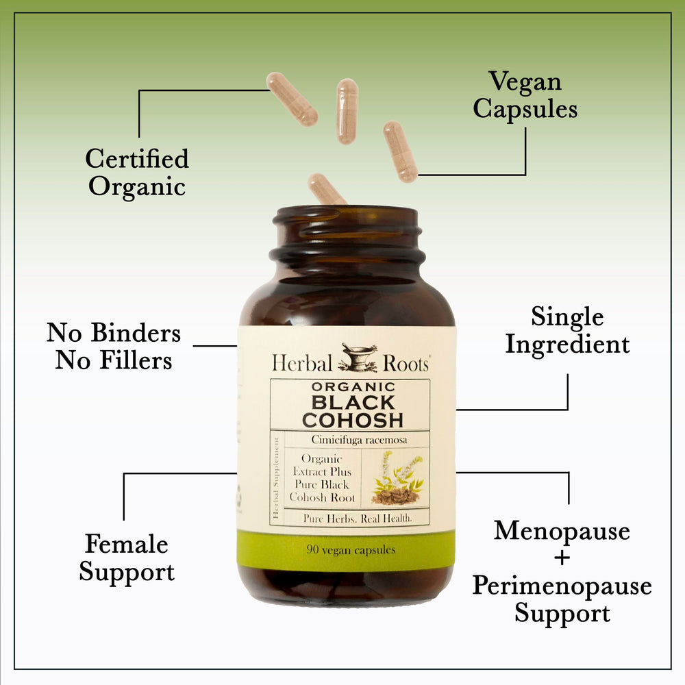 Cápsula Herbal Roots en mano para comparar tamaño y facilitar la dosificación