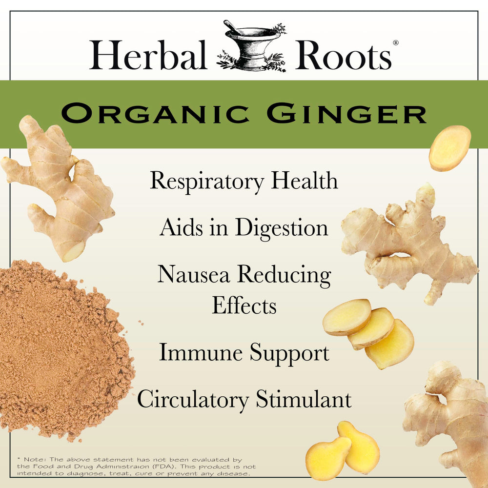 Herbal Roots cápsula en mano para comparar tamaño y facilitar la toma