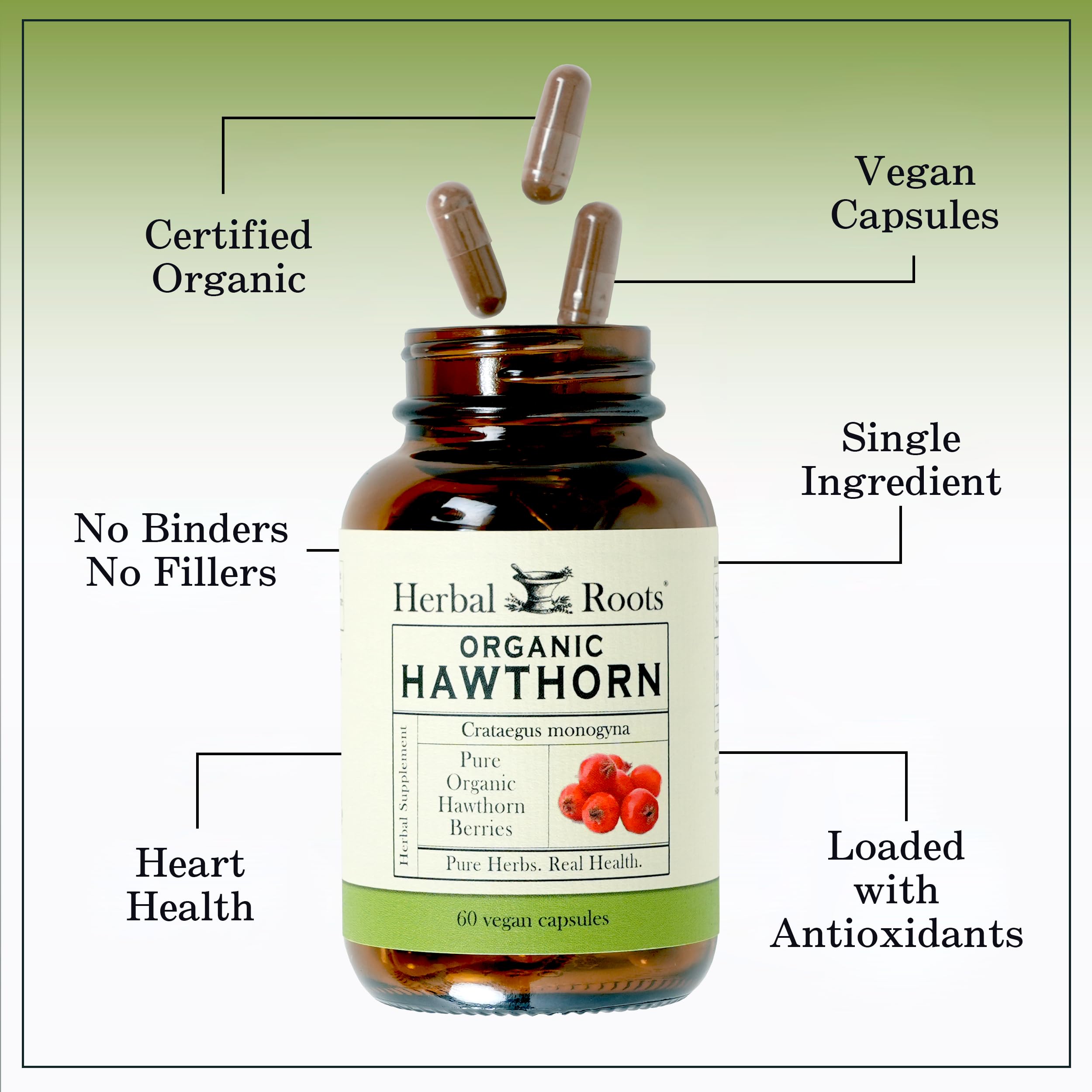 Herbal Roots primer plano de sellos orgánicos y certificaciones de calidad