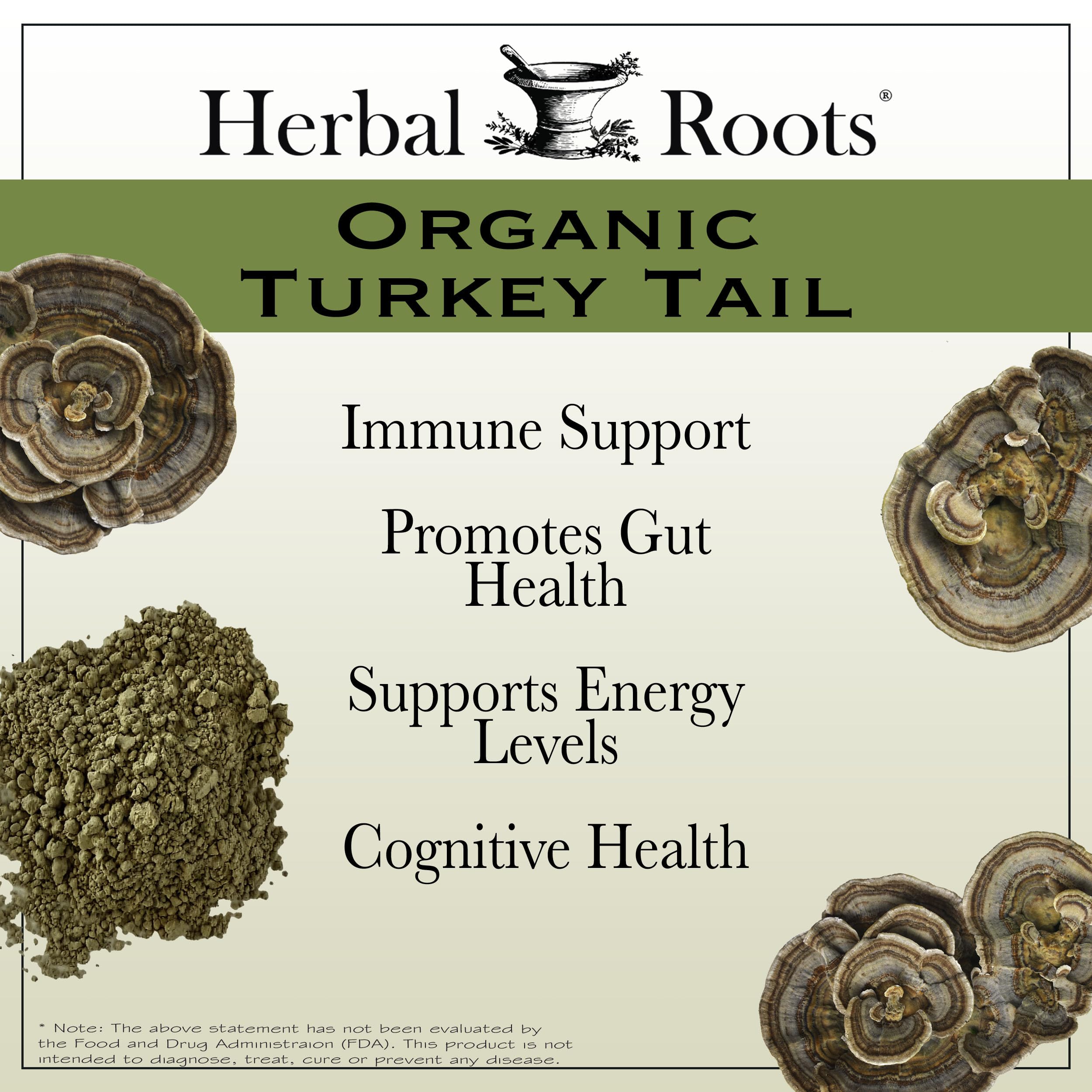 Herbal Roots polvo textura, extracto puro de cuerpos fructíferos