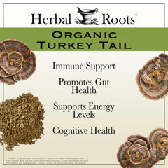 Herbal Roots polvo textura, extracto puro de cuerpos fructíferos