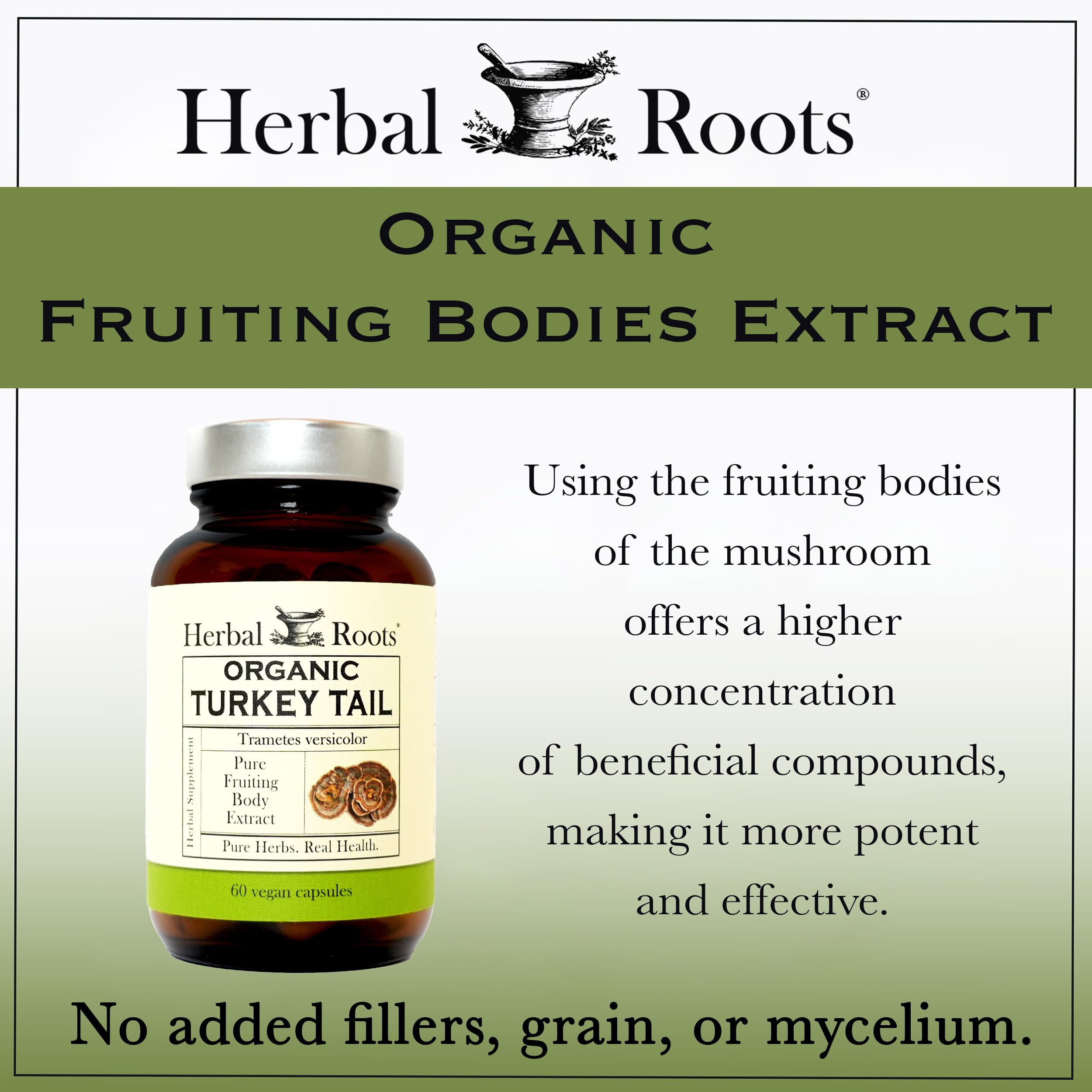 Herbal Roots tamaño en mano, muestra la cantidad en cada frasco