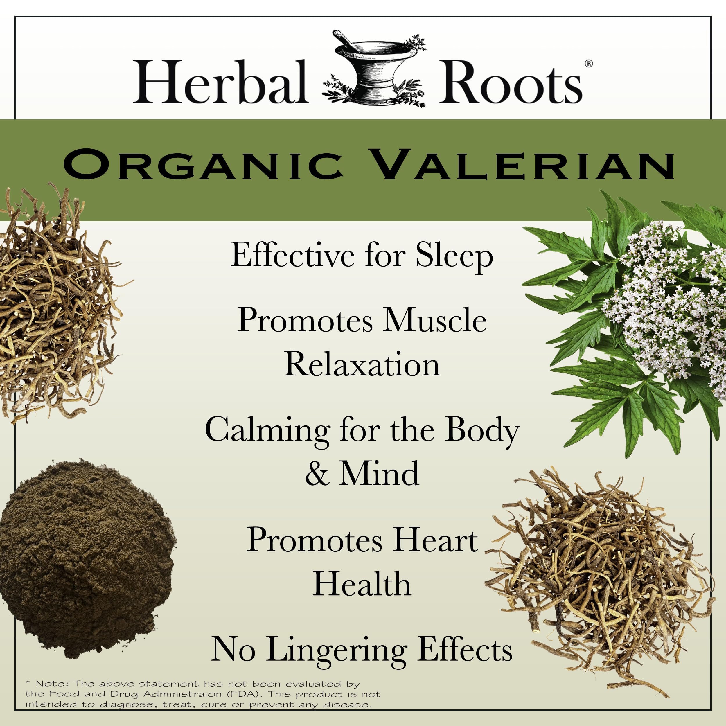 Herbal Roots polvo de raíz de valeriana texturado, pureza visible