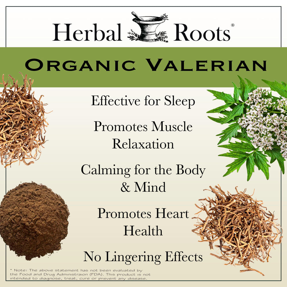 Herbal Roots polvo de raíz de valeriana texturado, pureza visible