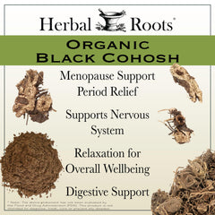 Raíz de cohosh negro natural usada por Herbal Roots, destacando origen orgánico