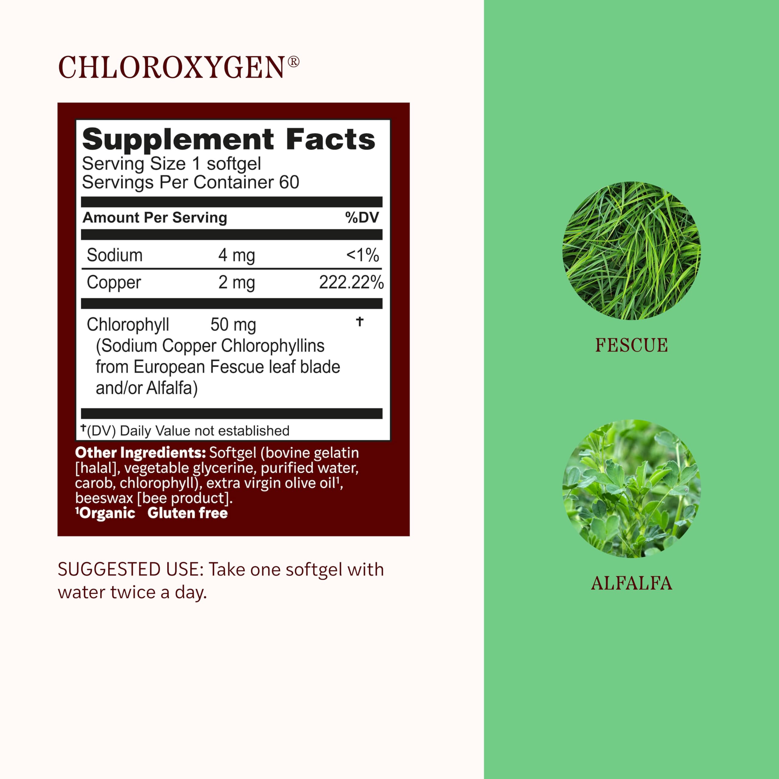 Herbs Etc. ChlorOxygen textura del contenido enfatizando origen vegetal