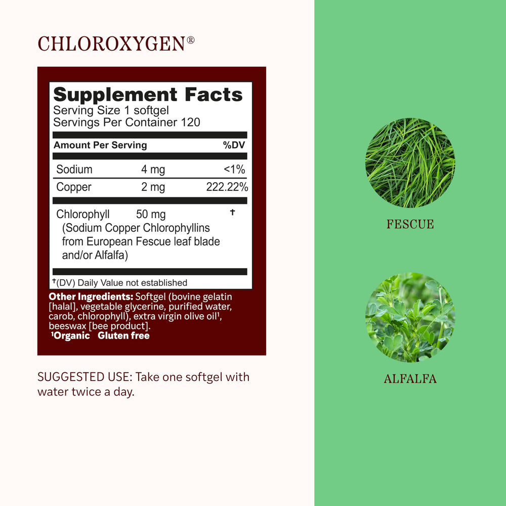 Polvo verde de clorofila de Herbs Etc. que resalta pureza botánica y absorción