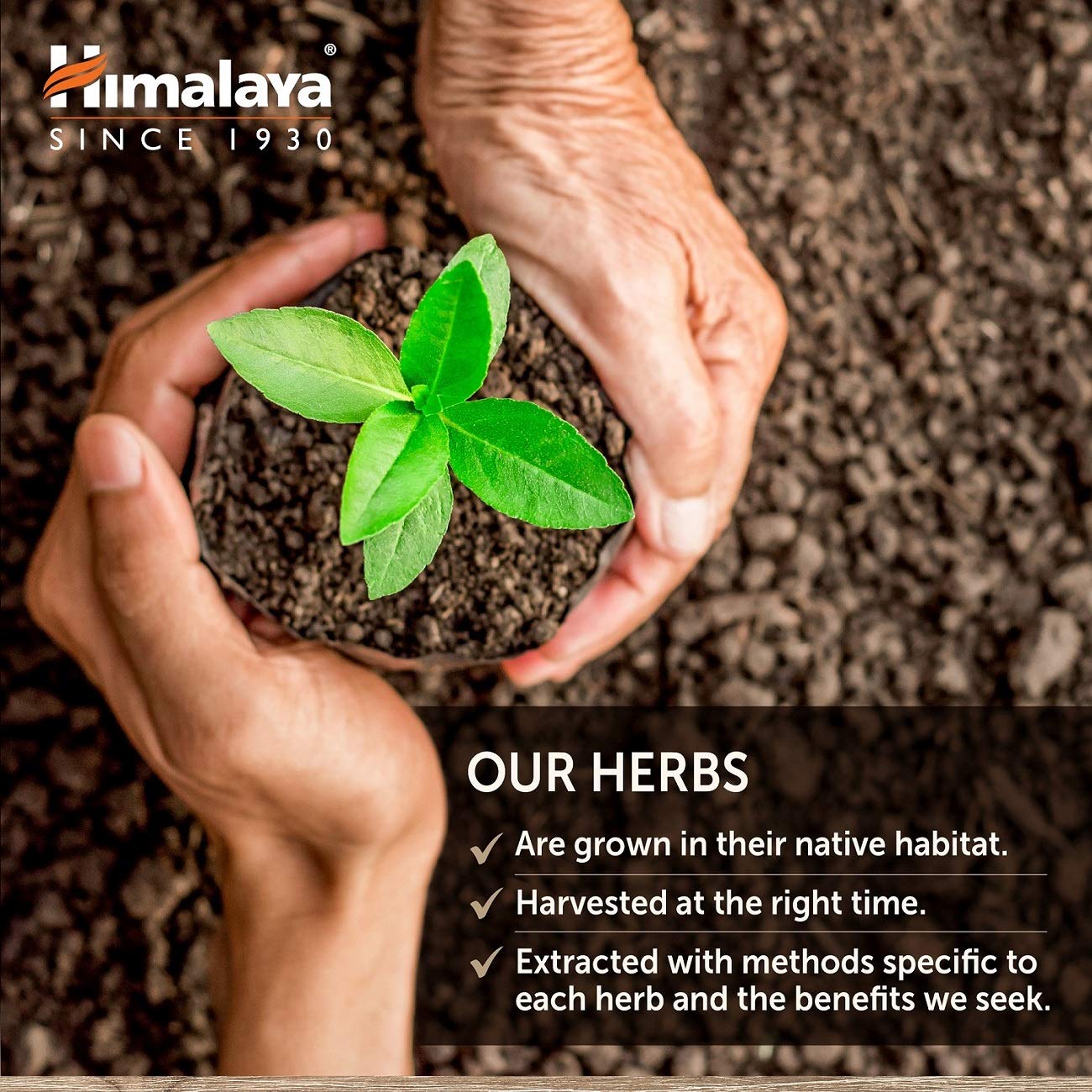 Himalaya caja abierta con cápsulas distribuidas que muestra contenido del envase
