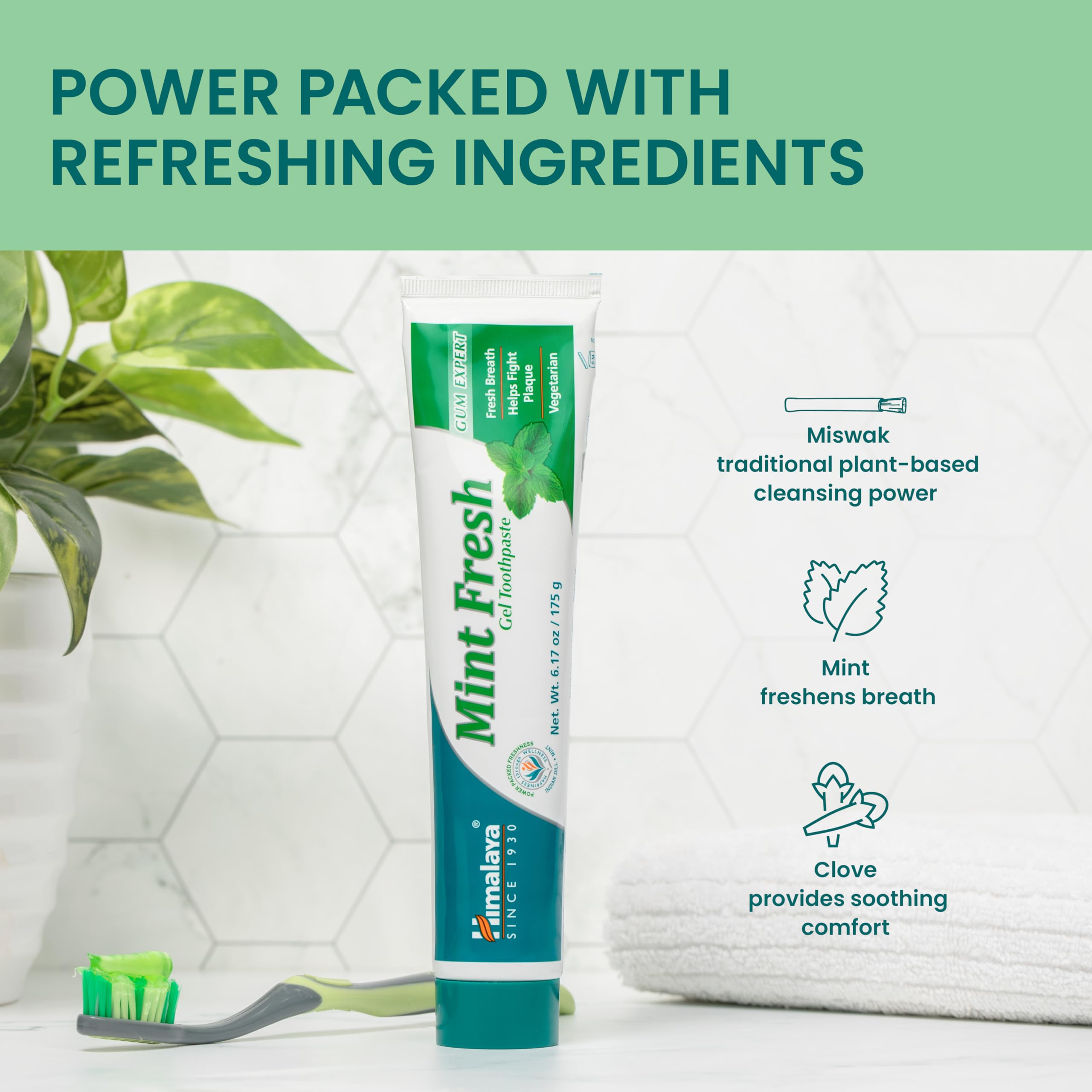 Himalaya comparación de tamaño 175 g para evaluar escala en mano