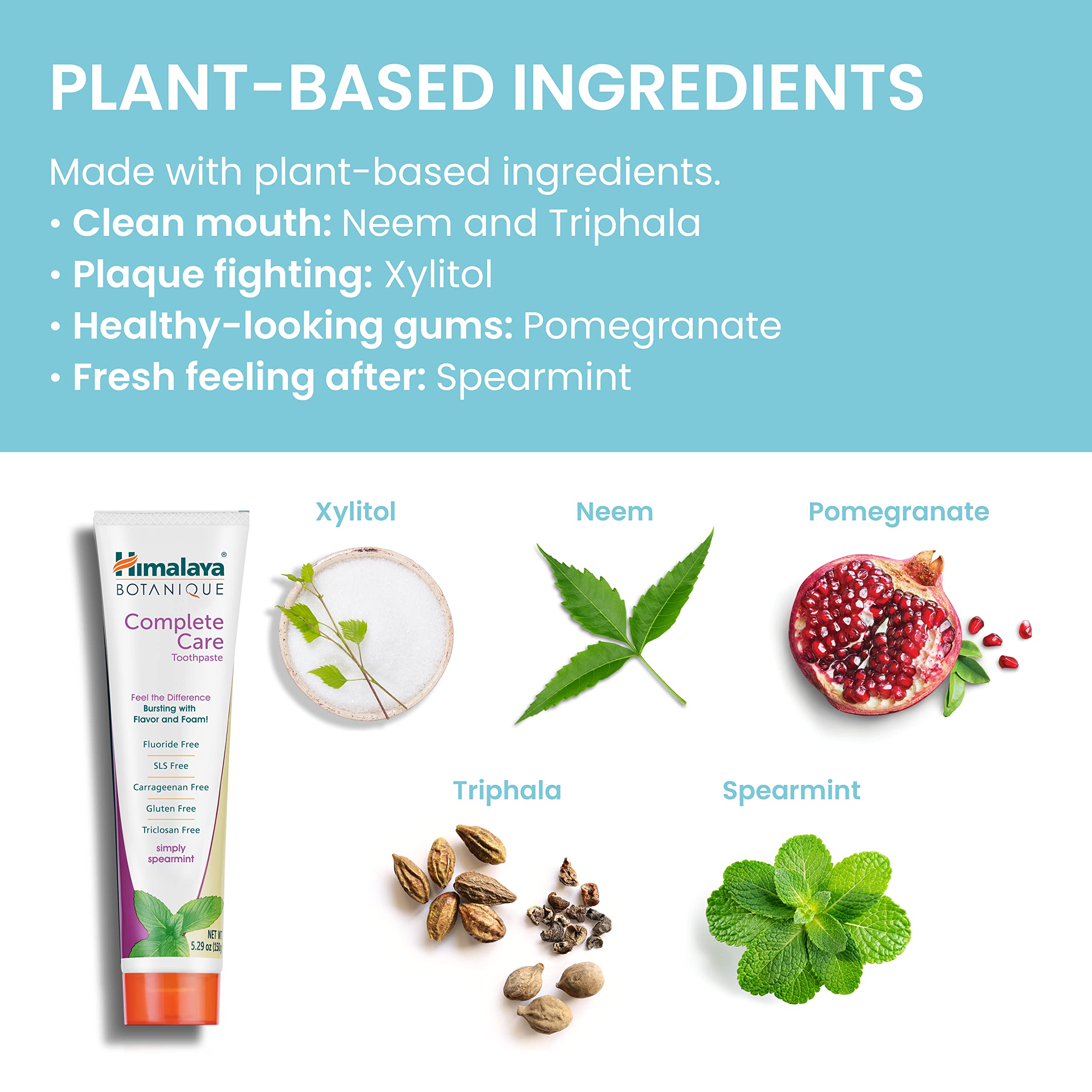 Himalaya tubo en mano para comparar tamaño y duración del producto