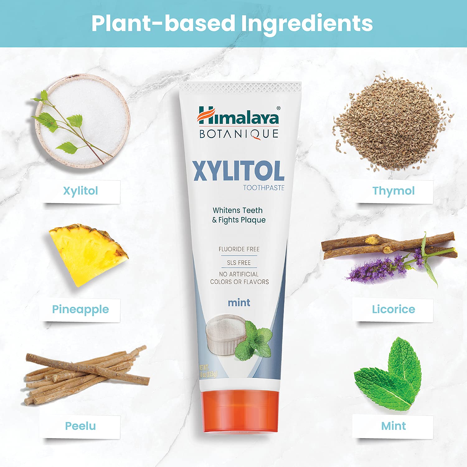 Himalaya pasta en cepillo demostrando fácil aplicación diurna
