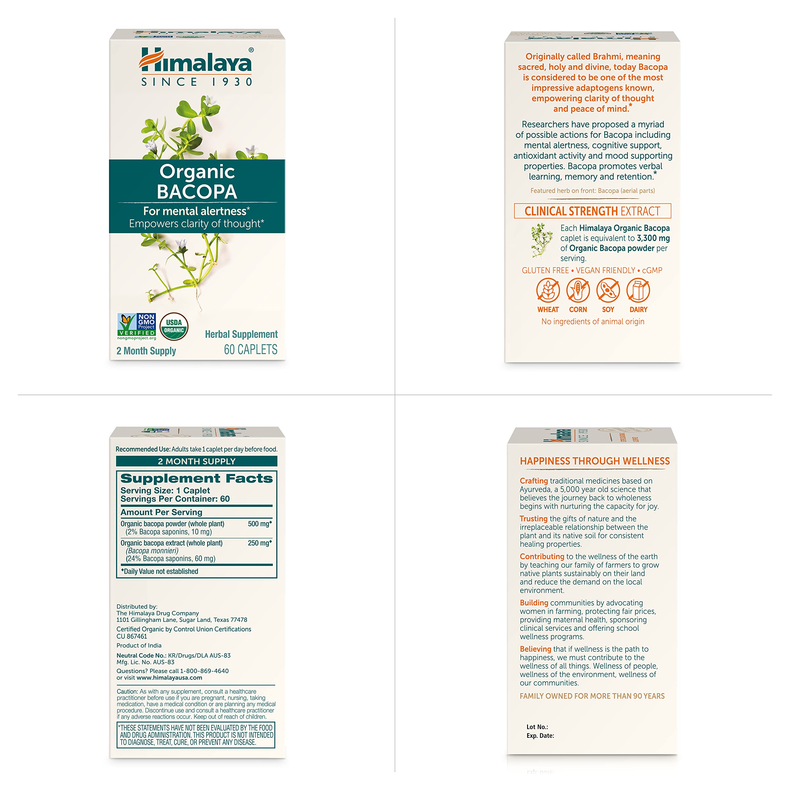 Himalaya en ambiente de estudio representando concentración y rutina
