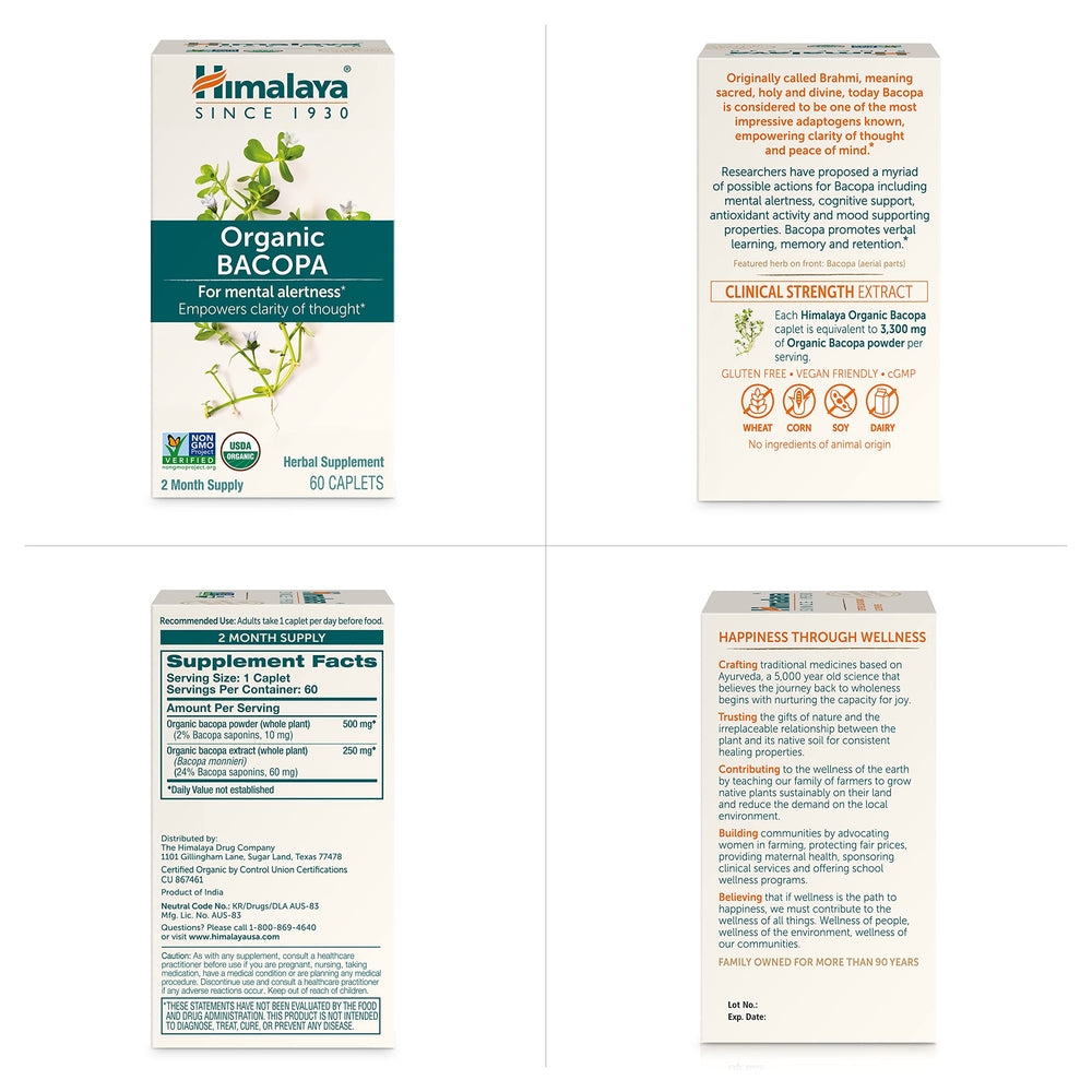Himalaya en ambiente de estudio representando concentración y rutina
