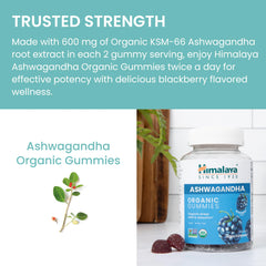 Himalaya etiqueta nutricional y lista de ingredientes mostrando certificaciones orgánicas