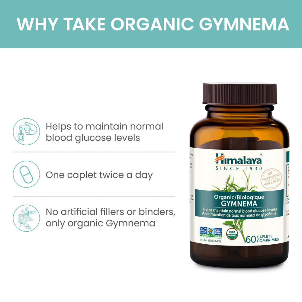 cápsula de Gymnema Himalaya en primer plano mostrando tamaño y facilidad de ingesta