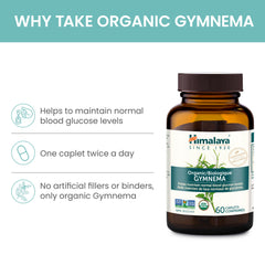 cápsula de Gymnema Himalaya en primer plano mostrando tamaño y facilidad de ingesta
