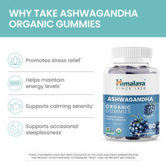 Himalaya raíces de ashwagandha y moras para destacar origen y sabor natural