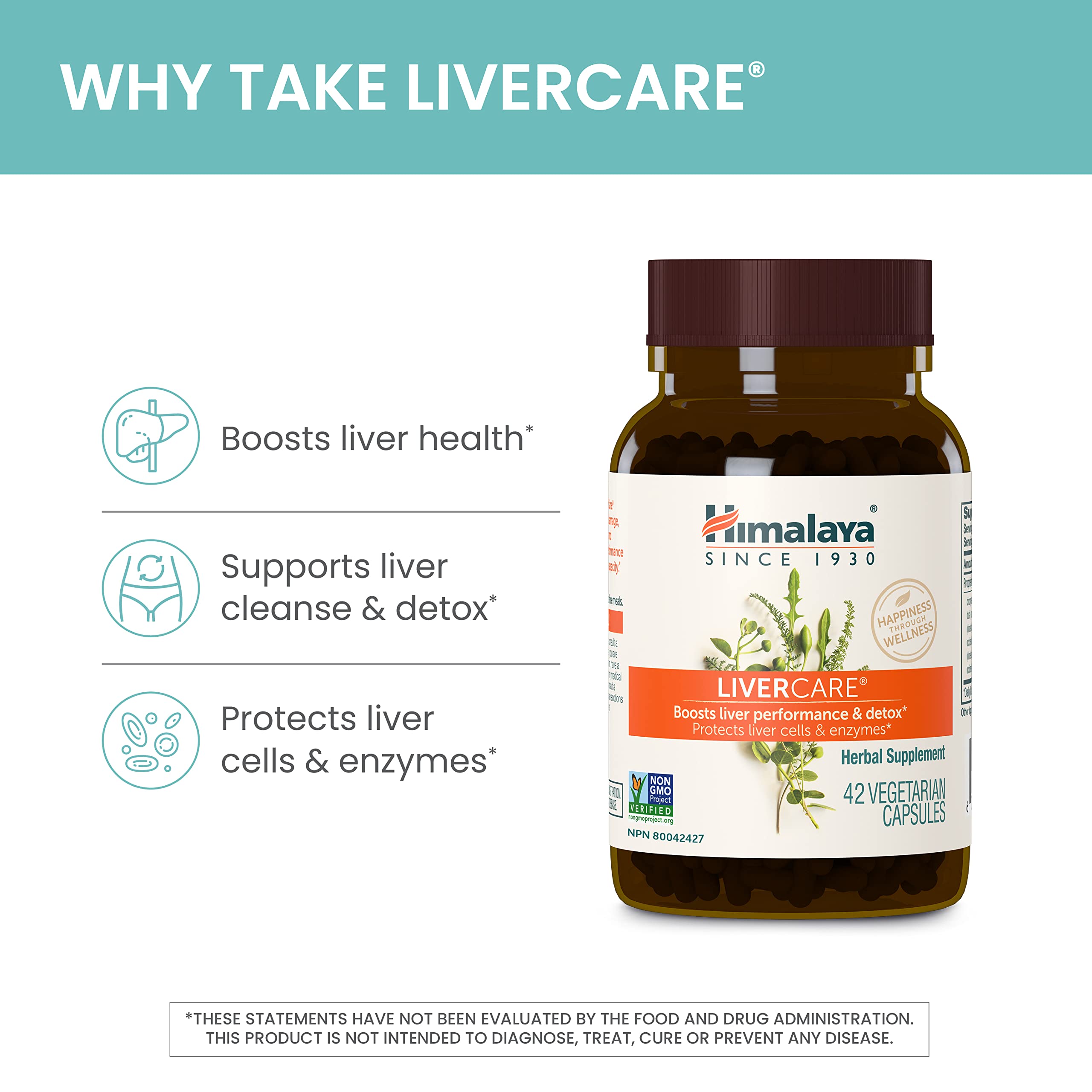 Extractos de alcaparra y achicoria usados en Himalaya LiverCare para apoyo hepático