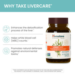 Himalaya vista cercana del polvo herbal que muestra ingredientes naturales