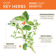 Himalaya MindCare etiqueta de ingredientes con listas claras y transparencia