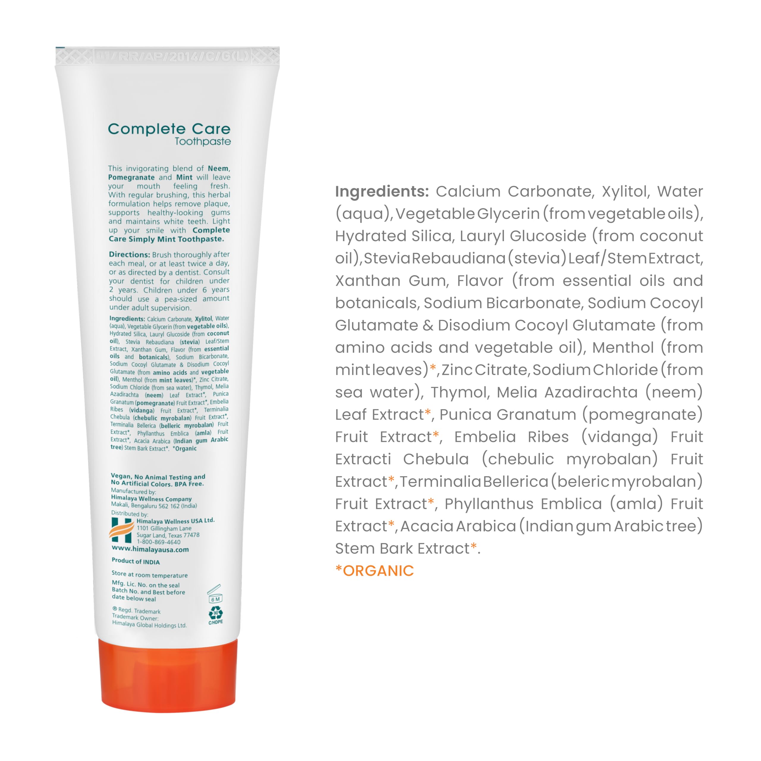 Himalaya primer plano de la textura de la pasta para visualizar consistencia