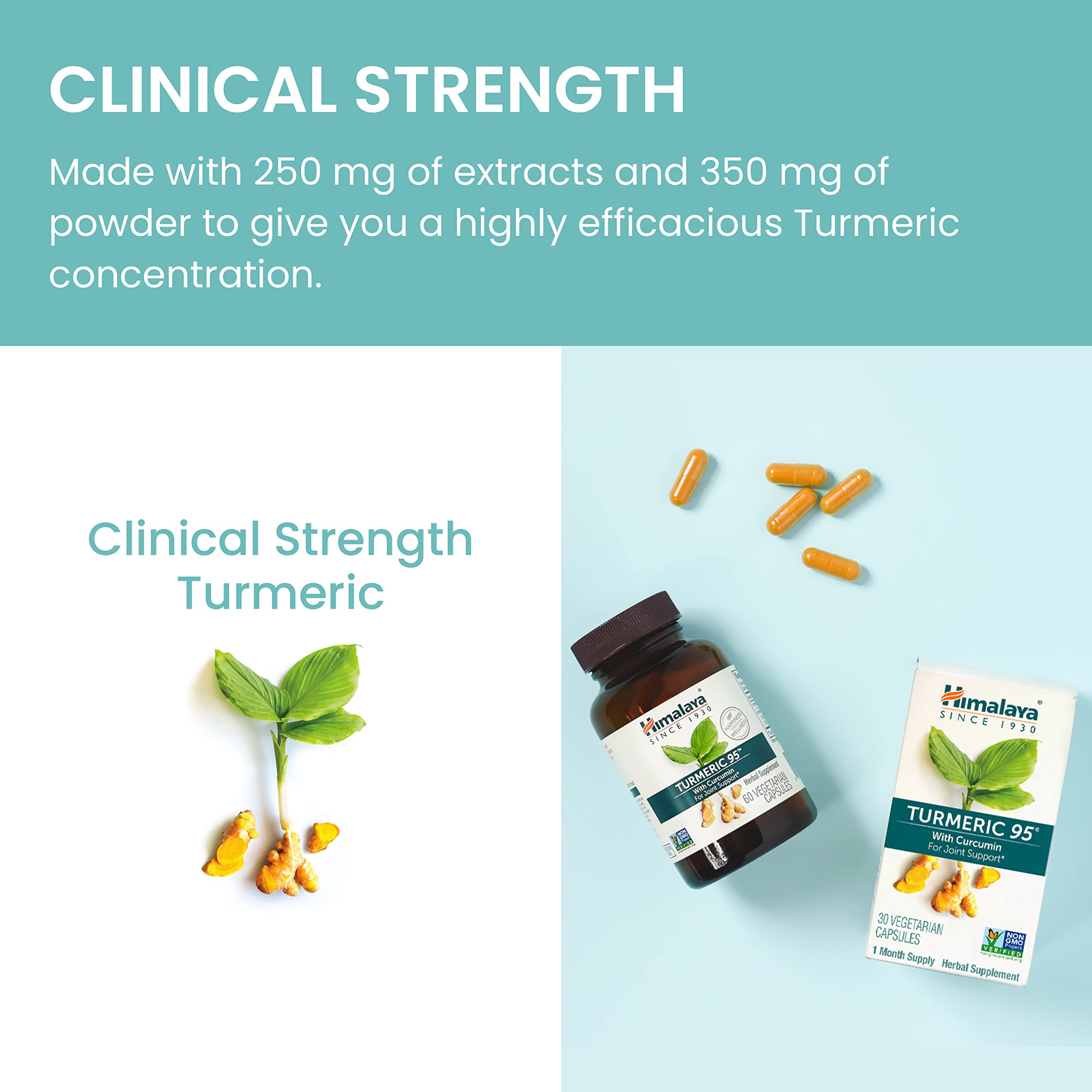 Himalaya Turmeric 95 cápsulas junto a una regla para comparar tamaño y dosis práctica