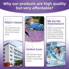 HIQILI Lavanda: mezcla en aceite portador para masajes relajantes.