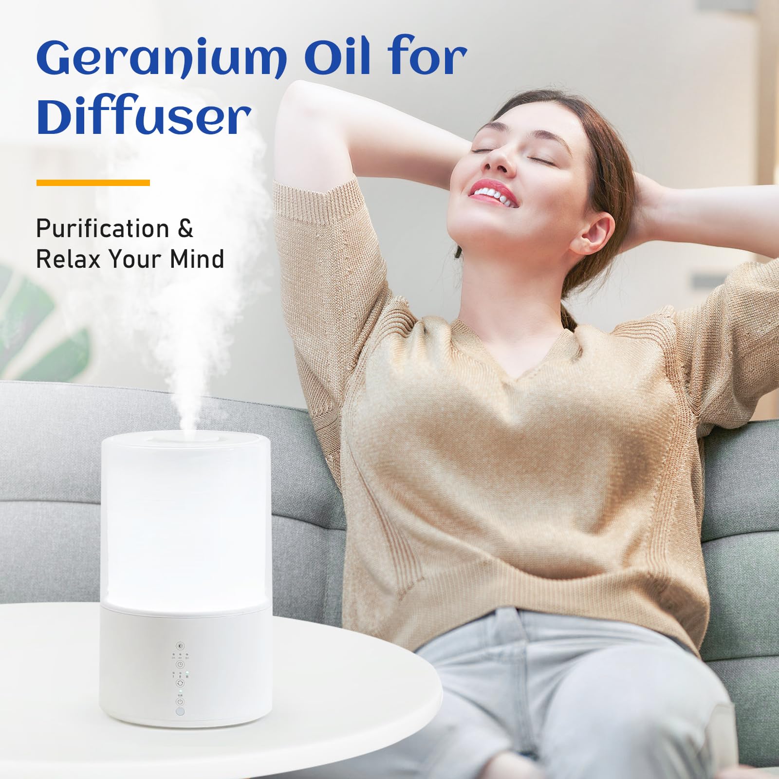 HIQILI en difusor aromatiza la sala con fragancia floral fresca