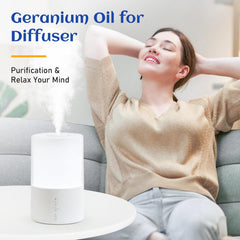 HIQILI en difusor aromatiza la sala con fragancia floral fresca