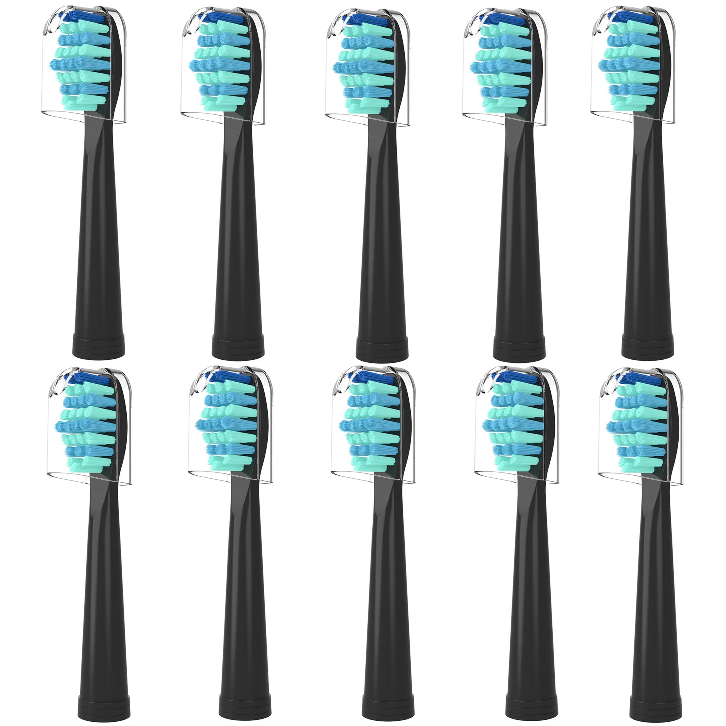 HOFAM cabezal frontal mostrando forma y beneficio limpieza precisa
