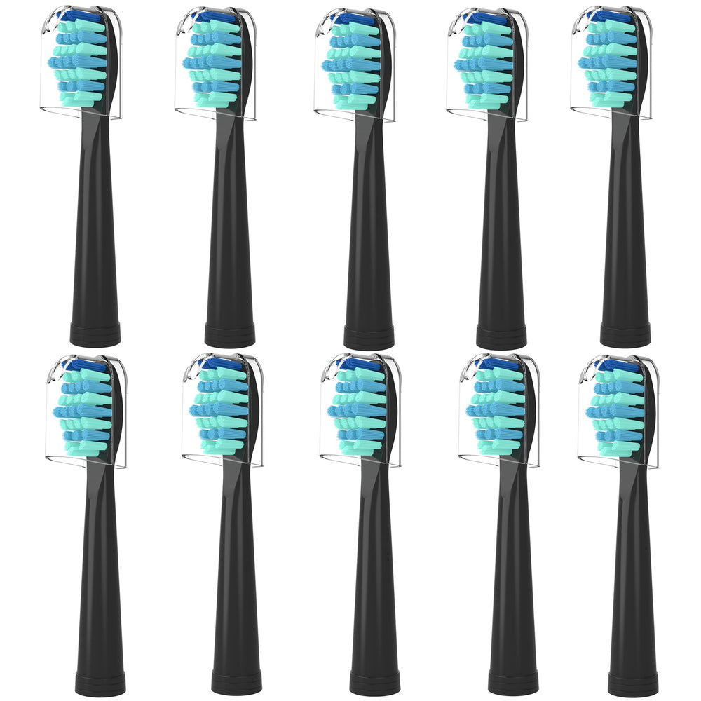 HOFAM cabezal frontal mostrando forma y beneficio limpieza precisa