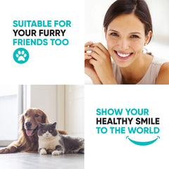 HOKIN limpieza dental en mascota facilita higiene entre citas