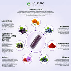 Holistic Health Labs cápsula en mano para comparar el tamaño y facilidad de ingestión