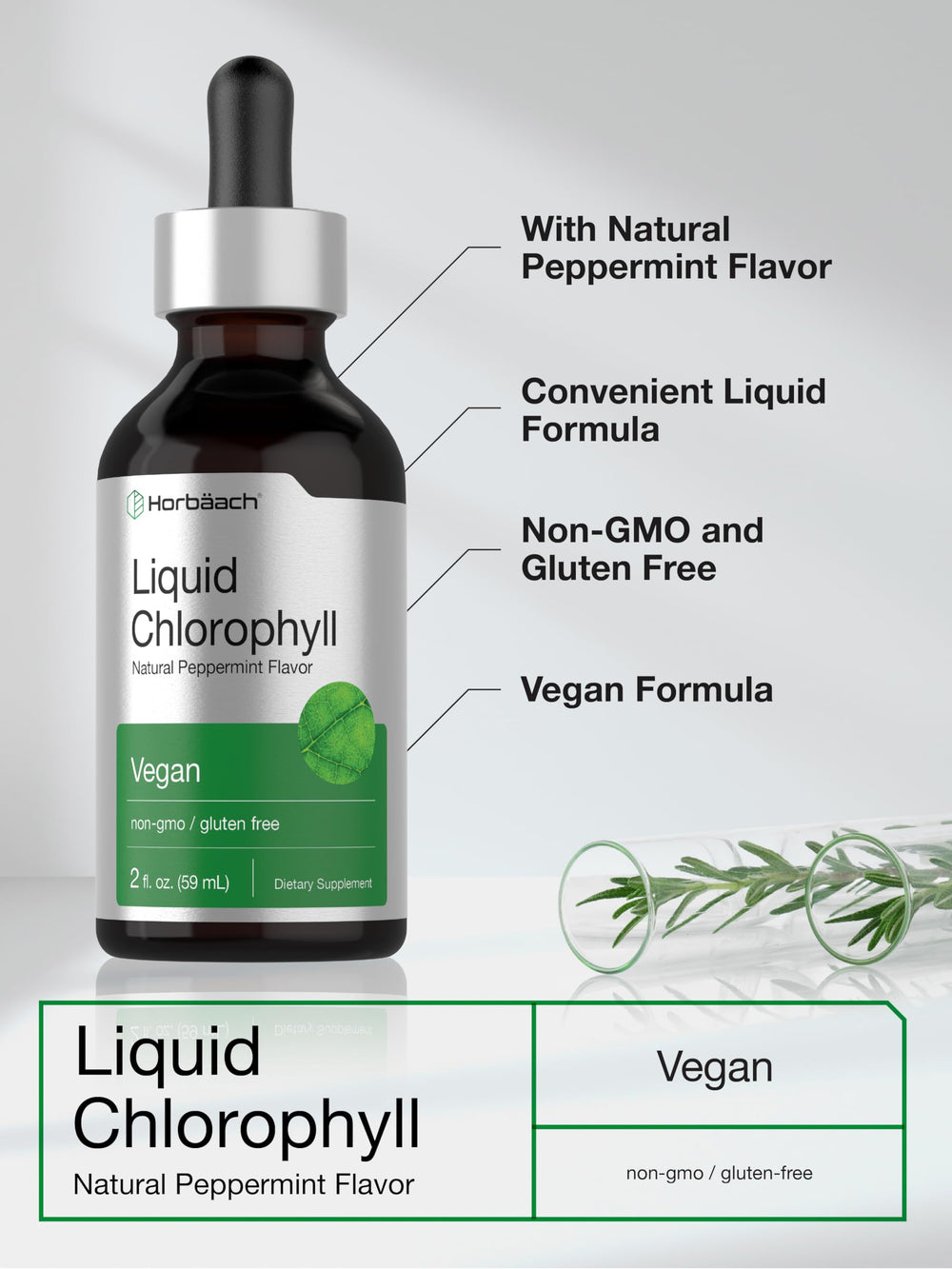 Horbäach comparación de tamaño en mano que muestra portabilidad