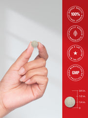 Horbäach comparación de tamaño junto a monedas, ilustra claramente la escala del producto