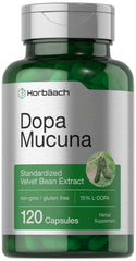 Horbäach bote frontal con diseño y nombre claro, ofrece confianza